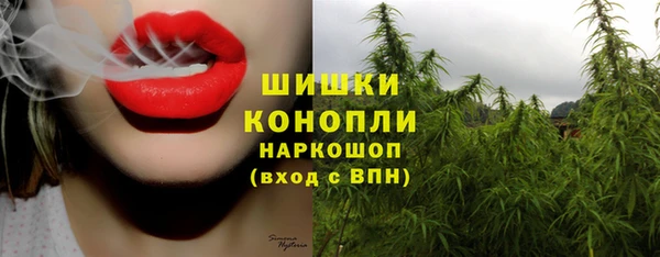 гидра Аркадак