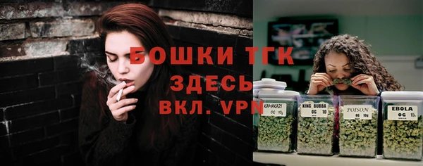 прущие грибы Балахна