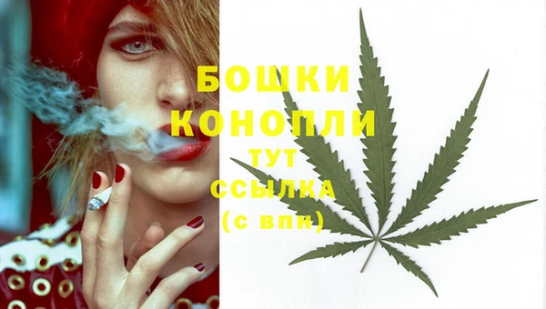 гидра Аркадак