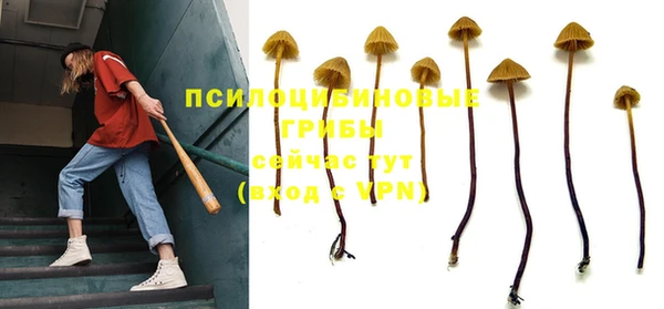 прущие грибы Балахна