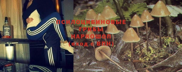 МДПВ Арсеньев