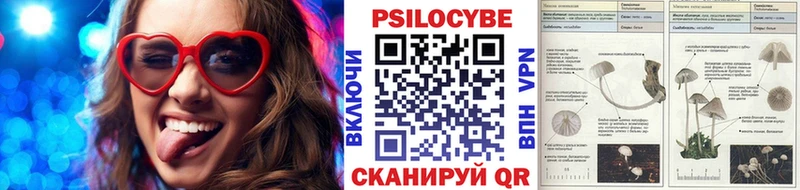 Галлюциногенные грибы мицелий  где купить   мега как войти  Майский 