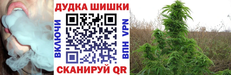 Канабис конопля Майский